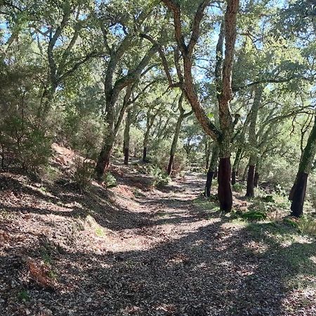 קורטס דה לה פרונטרה Apartamento Valle Del Guadiaro מראה חיצוני תמונה